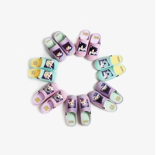 [TINYTAN] ROOM SHOES BTS