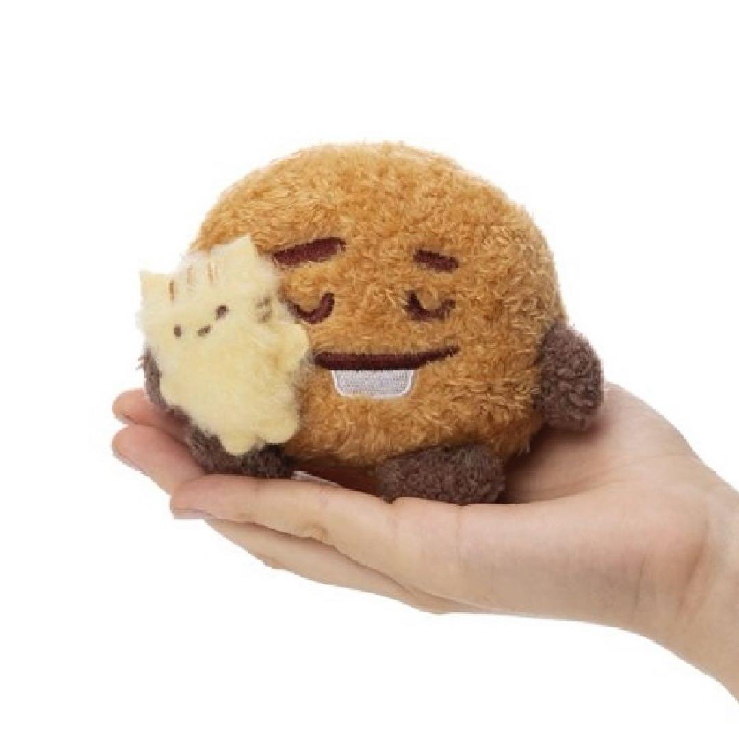 [FLUFFY BIG HUGHS] DOLL BT21